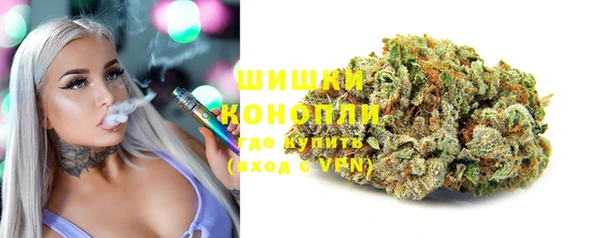 сатива Баксан