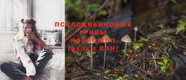 тгк Балахна